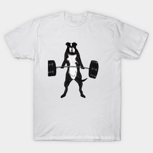 Funny Bodybuilding Dog T-Shirt